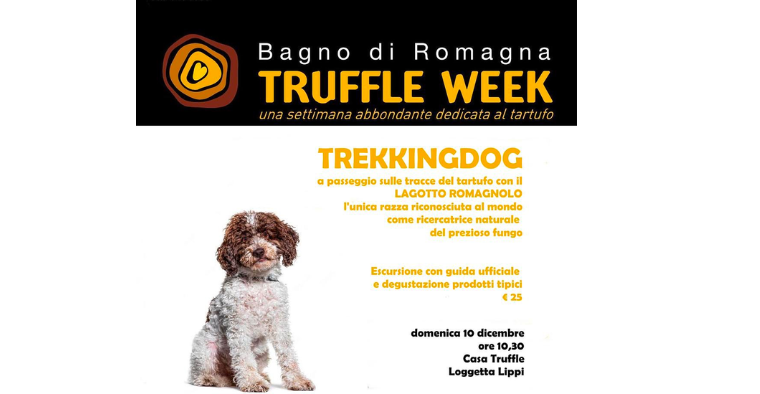 Truffle week: TrekkingDog